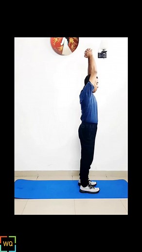 Get your legs burning with these forward and backward lunges! 🔥🏋️‍♀️ A perfect exercise to tone your legs and glutes. . . #lunges #legworkout #gluteworkout #fitlife #workoutmotivation #fitspiration #fitnessmotivation #homeworkouts | Wellness Quotient