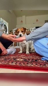 9.2K views · 338 reactions | Endeavour Wellness on Reels | Facebook