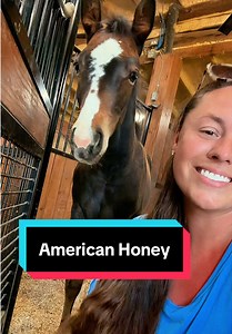 American Honey – Katie Van Slyke Viral Clips