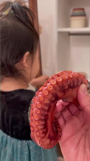 5.3K views · 255 reactions | It’s a No for Sarang  #hungryfam #hungry #octopus #foodie #foodlover | Hungry FAM | Facebook