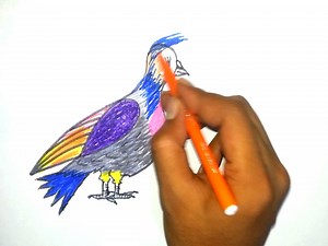 3.3K views · 50 reactions | How to draw a Pigeon bird !! drawing !! Easy drawing step by step #pigeon #pigeons #pigeonfan #pigeonlove #pigeonlife #pigeonpose #pigeonsport #pigeonforge | Anushka's friends zone | Facebook
