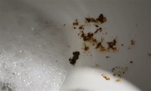 CHRISTMAS TOILET POT POO