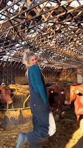 34K views · 2K reactions | @Dickies bibs have been my go to recently with this weather #farmersdaughter #maine #fyp #dickies #cow #fitcheck #bibs | Andrea Crosby | Facebook