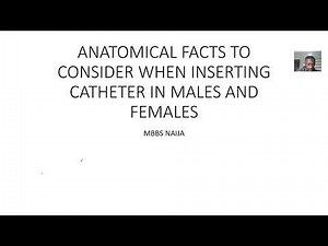 Anatomical facts to consider when inserting a Urethral or Bladder catheter and why (Males and Female