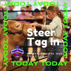 Steer Tag In is today! #fbcfair #fbcf #fortbendcountyfair #fairtime #fairdays #DefyingChallengesRaisingChampions #fairszn🎡 | Fort Bend County Fair
