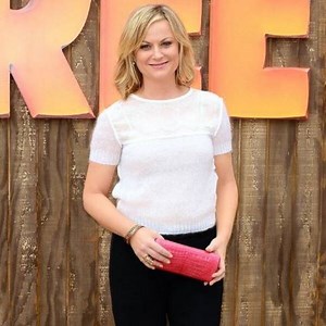 Have Amy Poehler and Tina Fey Decided on Cohosting the Golden Globes Again? Watch Now!
