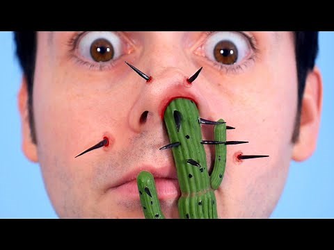 CACTUS STUCK UP NOSE!