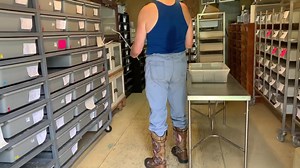 Crotalus atrox | Kentucky Reptile Zoo