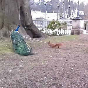 497K views · 1.3K reactions | Nature You Scary | Nagar.tv | Facebook