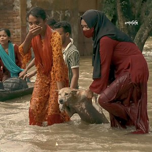 -humanity still Alive 💓💫 | গানমিস্ত্রি-Gaanmistry