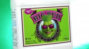 2.1K views · 54 reactions | Big Bud is blasting off! Contact your local hydro store today and get ready to fuel your plants' growth to maximum potential. By the way, you can now get Big Bud in our Advanced Nutrients Starter Kit, along with eight other top-selling products. Ask about it when you're in the store... Or call your local sales rep to get more details. #nutrientfertilizer #bigbud #advancednutrientsstarterkit #bloombooster | Advanced Nutrients | Facebook