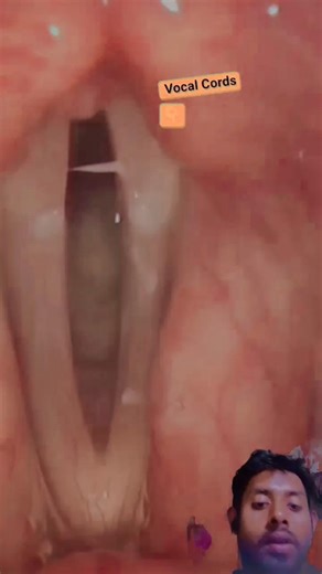 Ever Wonder How Your Voice Is Created?| Vocal Cords Explained in 3D Animation education #shorts