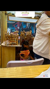 China Tour | Jetwing Journeys