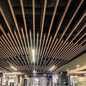 [Hot Item] Aluminum Alloy Curve Ceiling Suspended Metal Baffle for Strip Ceiling Tile Shape