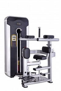 [Hot Item] TNT-011 Rotary Torso/Gym Equipment Bodystrong