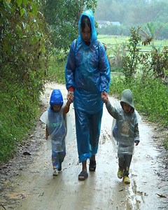 Watching Dũng & Đậu Back from School to Enjoy Homemade Treats. #rainydayvibes #afterschoolsnack #familywarmth #homesteadlife #undertherain #viralreels #singlemom | Videos Ave