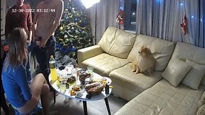 Voyeur-House - Shana play with 3 dicks and suck in linvingroom Jan 06-23 Cam2