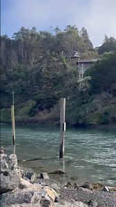 Albion River campground