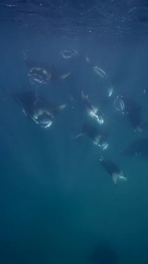 Esto realmente es un sueño! #hanifarubay Reethi Beach Resort | Roberto Ochoa