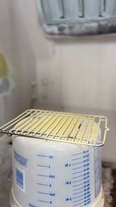 Spraying glaze on the Starfish Mugs . #ceramics #ceramicsglaze #starfishmug #tikimug #coctailmug #exoticamug #howiamaco | VanTiki