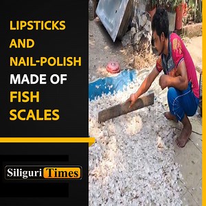 Woman's journey to self-reliance by using fish scales into nail polish and lipstick production | Siliguri Times