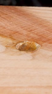 The Best Ice Cream Recipe Ever! | Crafty Panda How