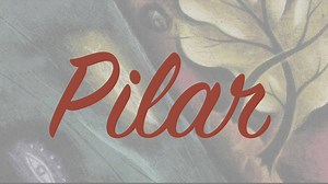 558K views · 17K reactions | Happy International Women's Day! All the heroines of my books show a side of my feminine soul | Paulo Coelho | Facebook