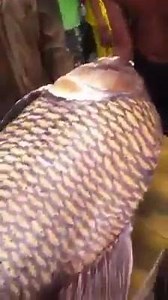 Big fish! | Genuine Fishing