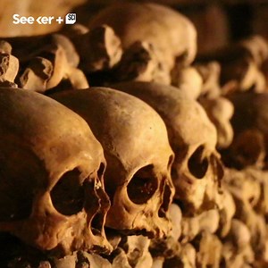 205K views · 720 reactions | Here’s why the exhumed remains of 6 million people were moved into old limestone mines beneath Paris. | Seeker by The Verge | Facebook