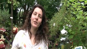 Faire un bassin à poissons pour jardin - Minutefacile.com