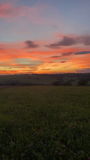 #sunset #sun #autumn