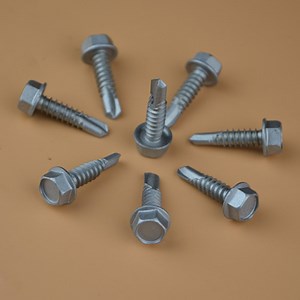 [Hot Item] Self Drilling Screw Roofing Screw Tek Screw