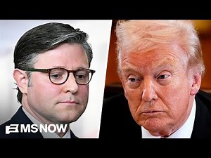 Tariff decision is opportunity for Congress to 'reassert itself' as equal branch: Dem Rep.