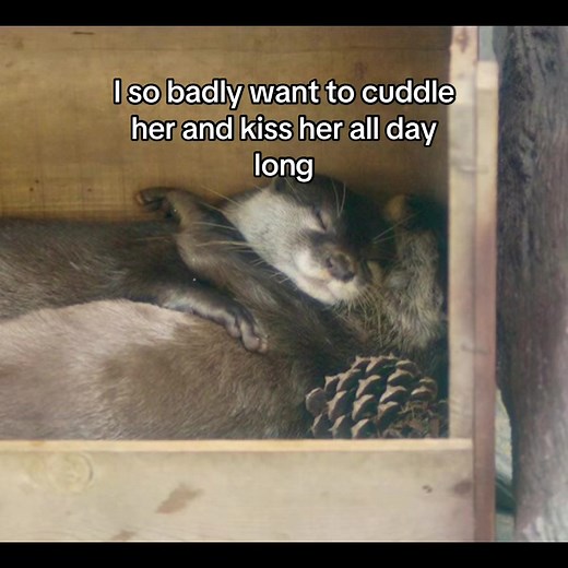 Cuddling with My Girlfriend: A Cute Love Story