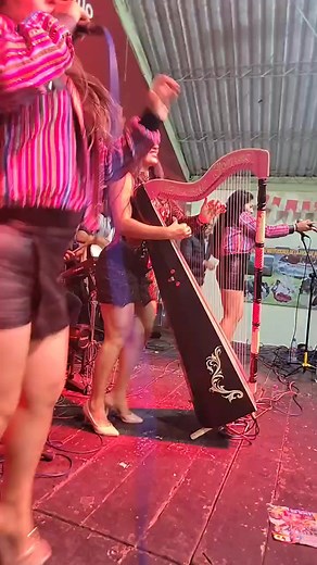 #arpa #conciertoenvivo | Maricruz Gomez
