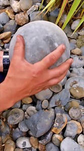 79K views · 948 reactions | Here’s a huge boulder we found whilst hunting for fossils and calcite crystal ️ This must have been buried by the boulder many tides ago  Hopefully we make another exciting find like like this one soon!  Thanks for supporting our page!  #natural #nature #fossil #fossils #ancient #fblifestyle | Yorkshire Fossils | Facebook