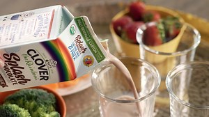 Introducing Clover the Rainbow® Milk with a Splash of Flavor, available in three classic flavors - Chocolate, Strawberry, and Vanilla. Made with organic, lactose free milk and no to low added sugar, this is whole nutrition for the whole family! #cloversonoma #clovertherainbow #theonlydairywithloveinit | Clover Sonoma