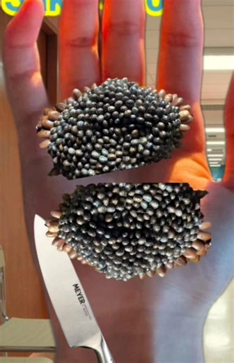 Trending hand washes for men and women with ASMR | Sakir 400