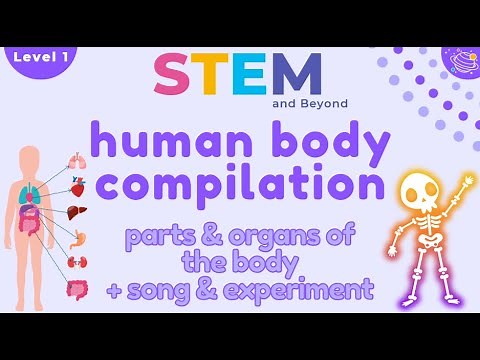 Human Body Compilation | Science For Kids | STEM Home Learning