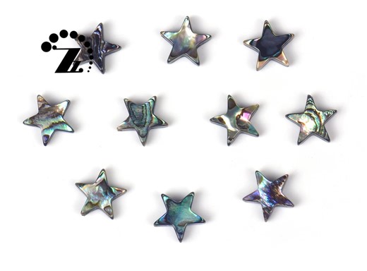 Abalone Shell Smooth Flat Star Beads,ainbow Abalone,paua Shell,sea Shell,shell,natural, Double Drilled,12mm,10 Pcs - Etsy