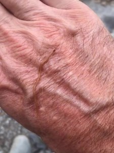 4.2K views · 19 reactions | 黎Our guided educational programs open the door to wonders big and small. Check the post pinned to the top of our Facebook page for the latest program schedule. All programs are free! Sign up and get program meeting locations by calling (585)493-3682, or stopping by the Humphrey Nature Center near Inspiration Point. : Doug Bassett | Letchworth State Park | Facebook