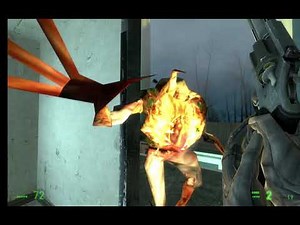 Gonome in HL2
