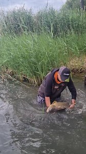 18 reactions | Jedeme dál  | Fish Matrix | Facebook