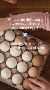 Cage-Free means animals are not confined to cages - BUT, that's not...
