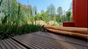 1.4K views · 44 reactions | 大食い界の新星？ GoPro.com で全商品が15%オフのブラックフライデーセール、開催中。今すぐチェックしよう！ | GoPro | Facebook