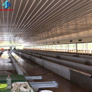 [Hot Item] Layer Chicken House Design Prefabricated Automatic Metal Poultry Shed Construction