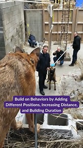 Dive into the world of show business animal training with Melissa...