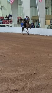 RHBAA Spring Youth 17 & Under Champion I'm An American Bell & Hayden Artrip | The Scoop Walking Horse Paper and The Scoop On-Line