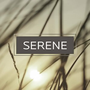 Tap into nature with Urbane Bronze - a hue whose warmth and comfort breathe down-to-earth tranquility. | Sherwin-Williams