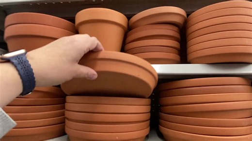 Animal pot
